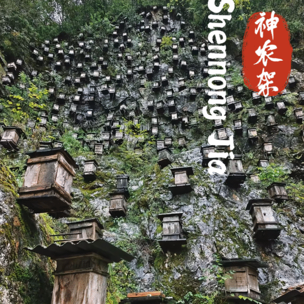 ShenNongJia